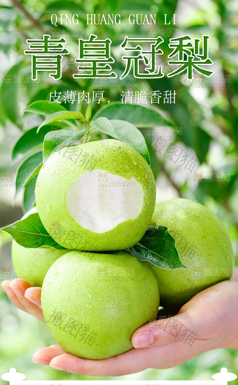 青皇冠梨详情页设计