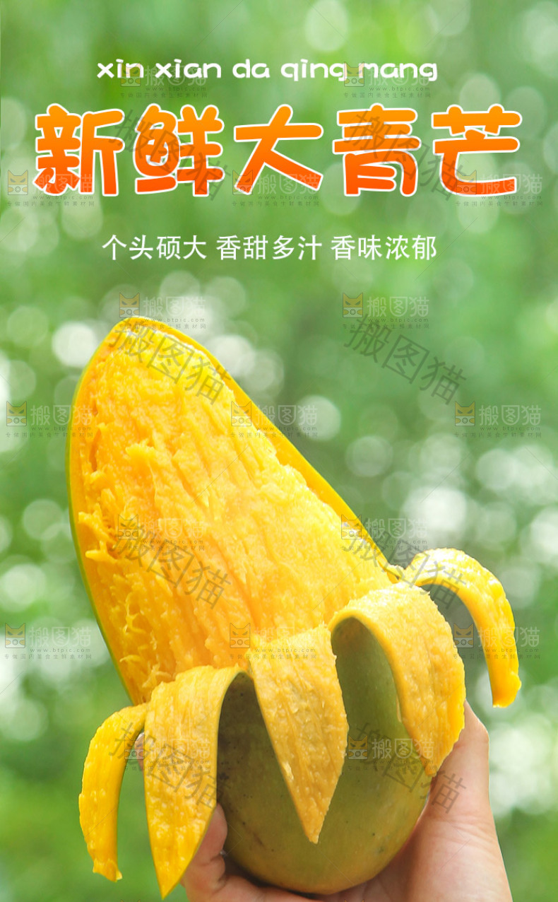 新鲜大青芒详情页设计