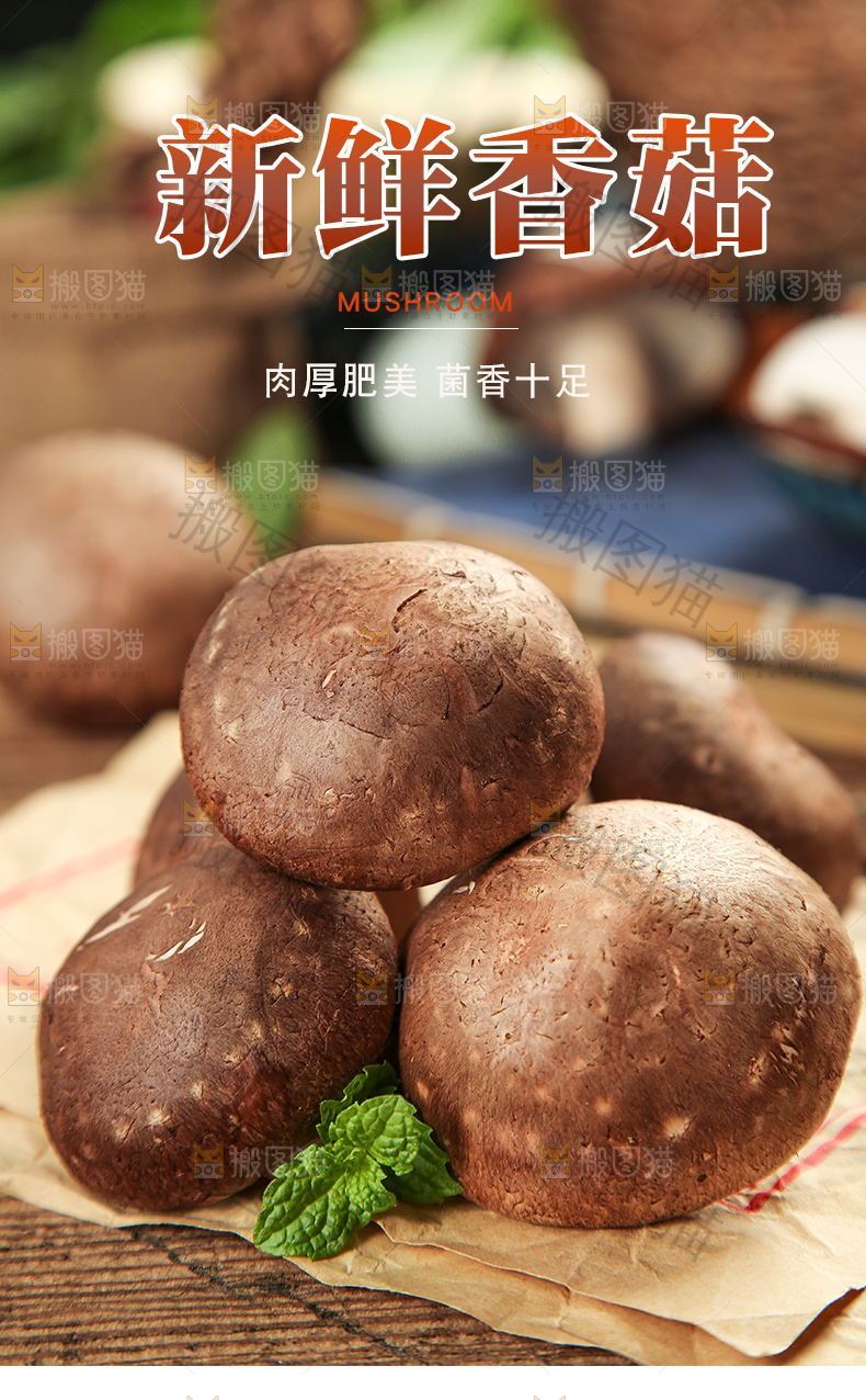 新鲜香菇详情页设计