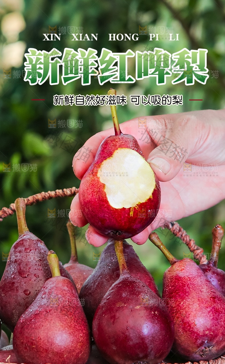 新鲜红啤梨详情页设计