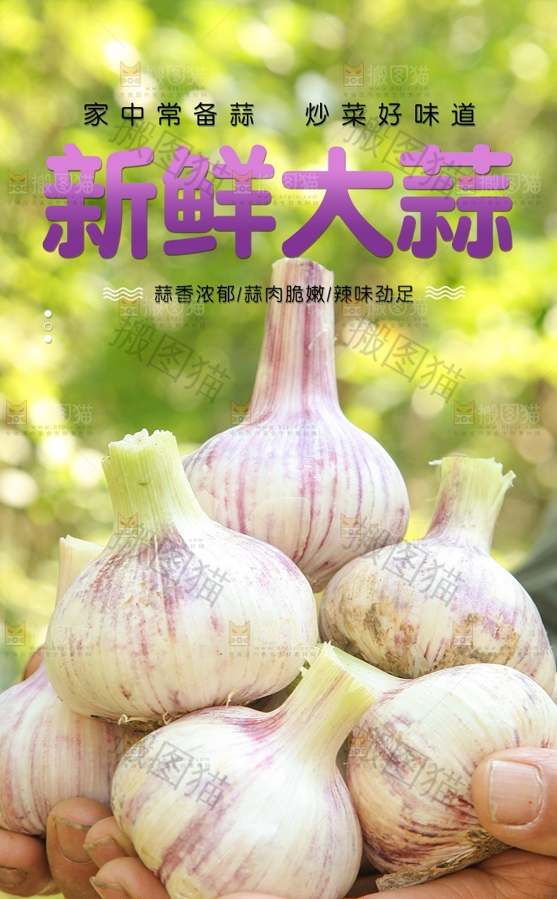 新鲜大蒜详情页设计