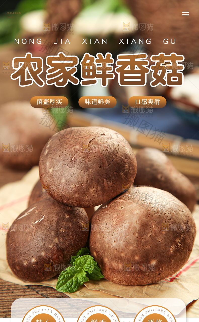农家鲜香菇详情页设计
