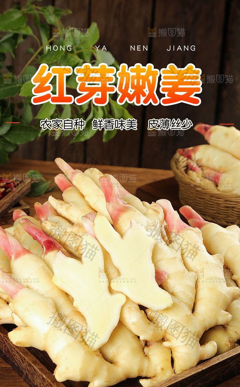 红芽嫩姜详情页设计