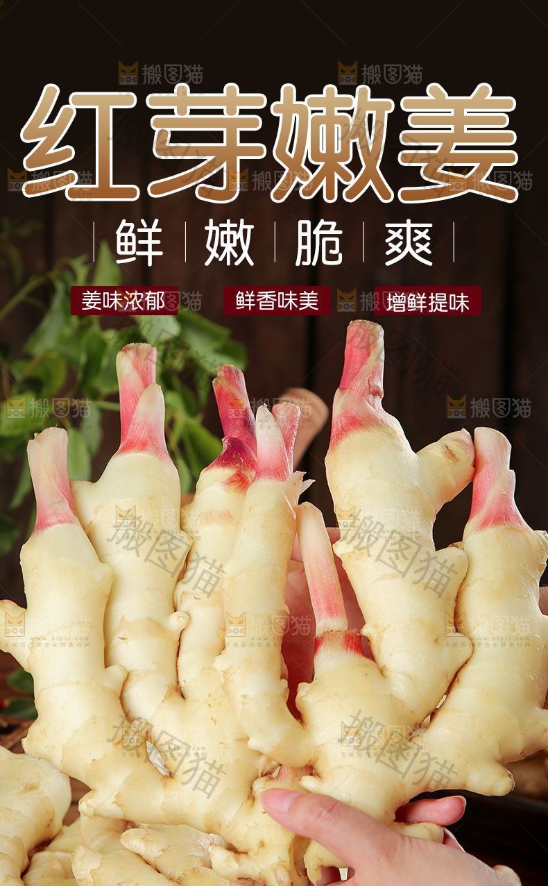 红芽嫩姜详情页设计