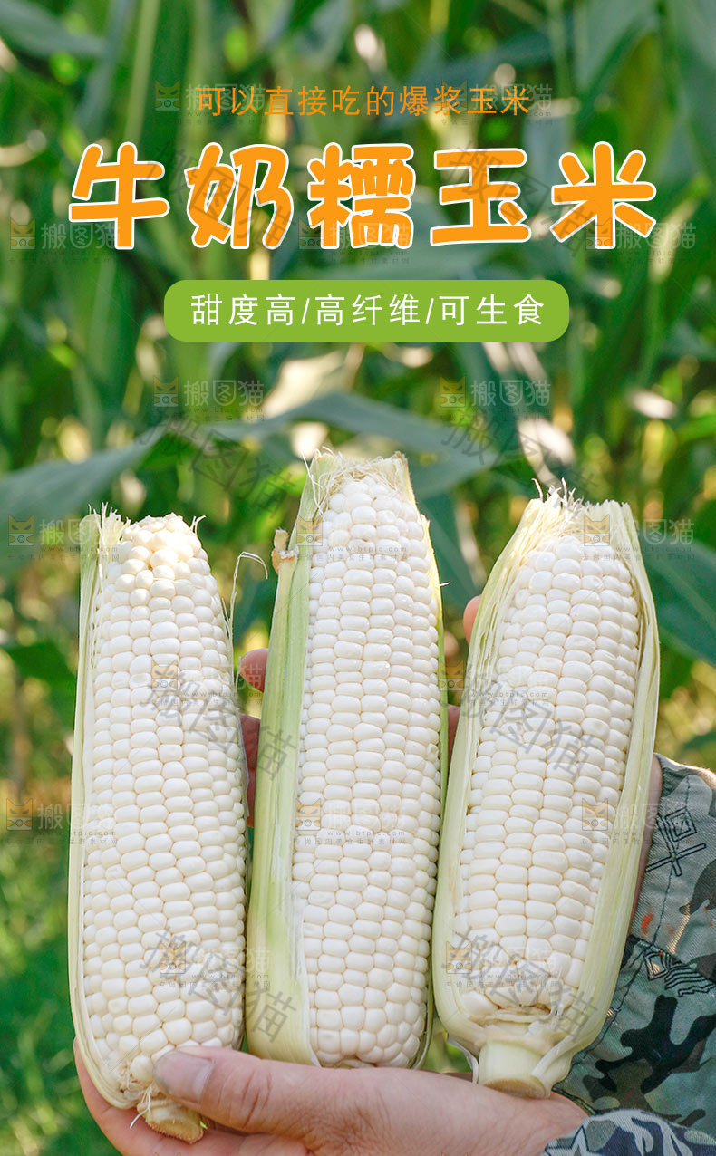 新鲜牛奶玉米详情页设计