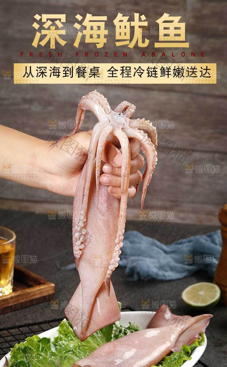 新鲜深海鱿鱼详情页