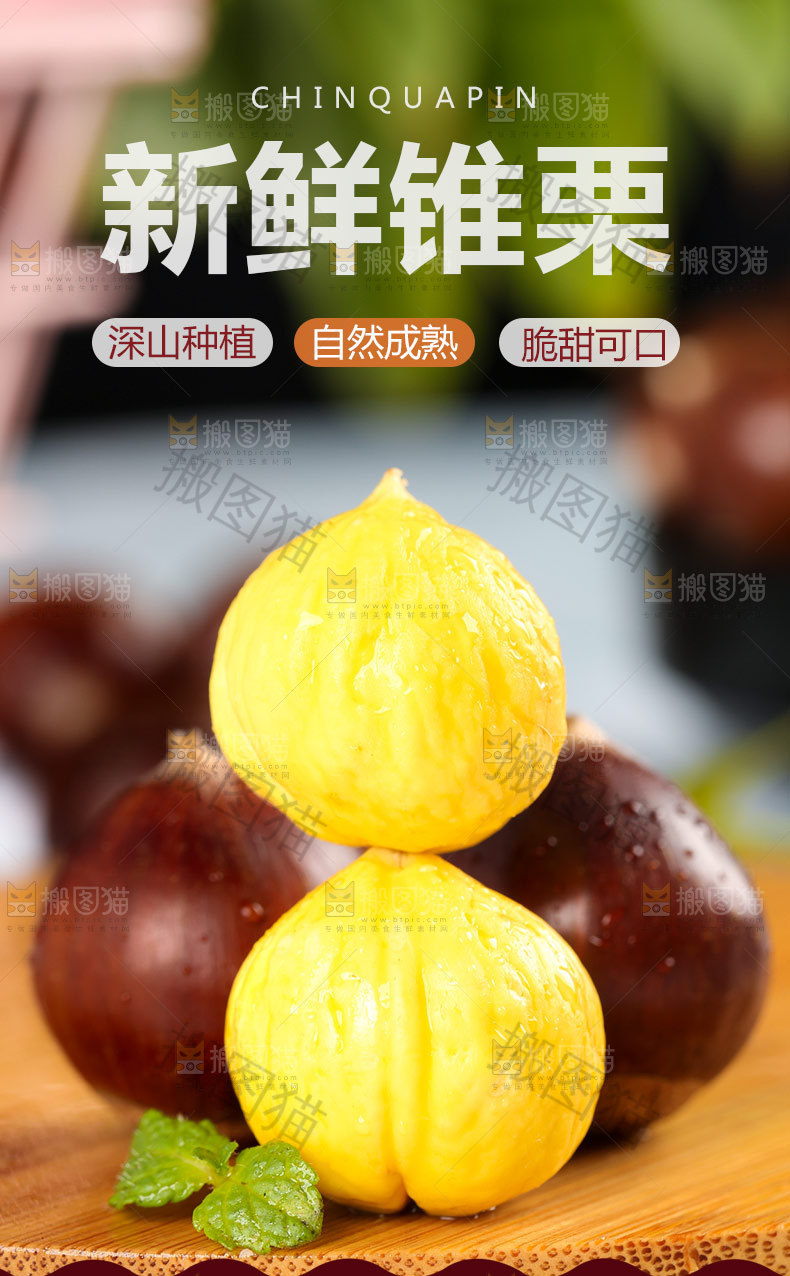 新鲜锥栗详情页设计