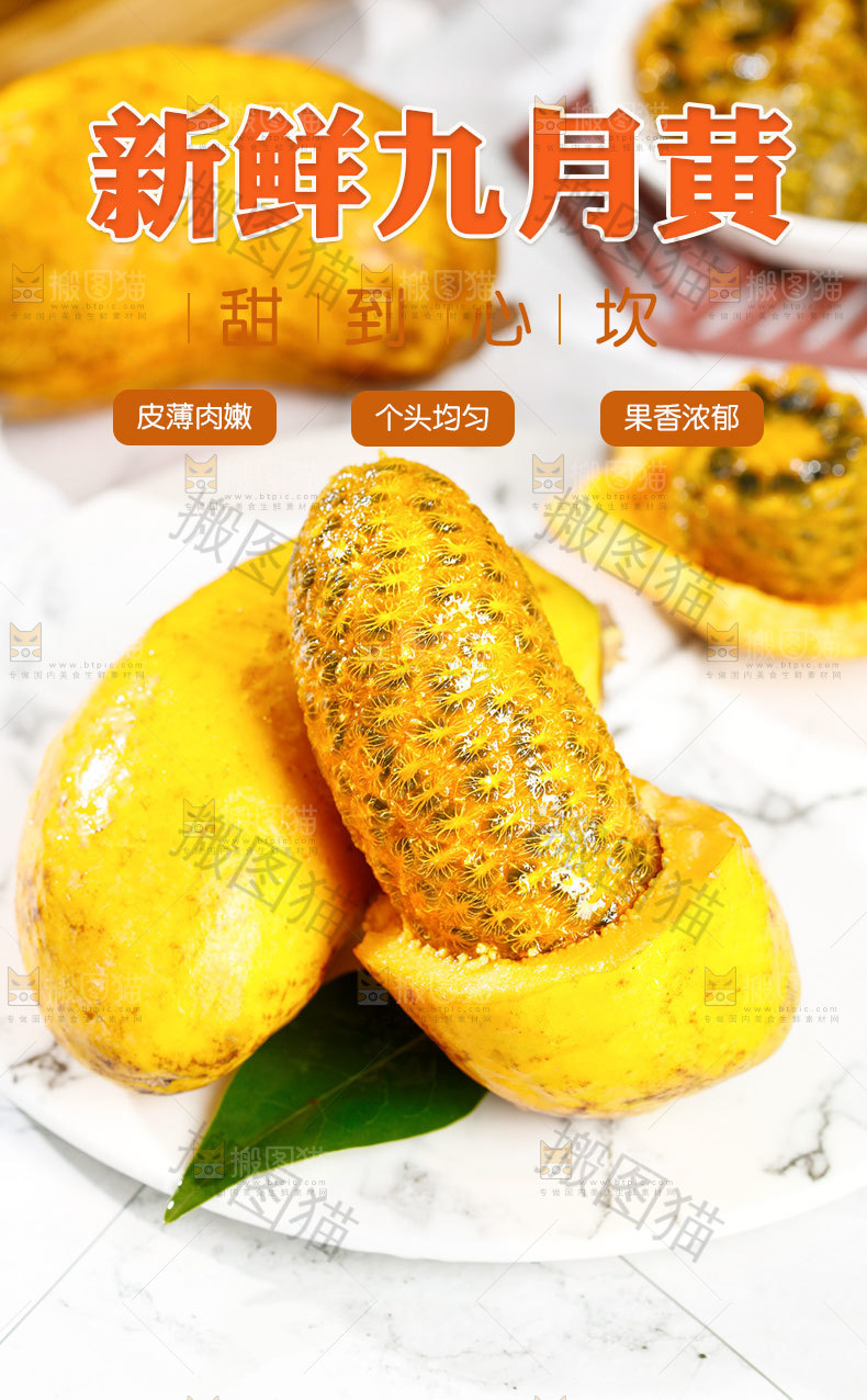 九月黄详情页