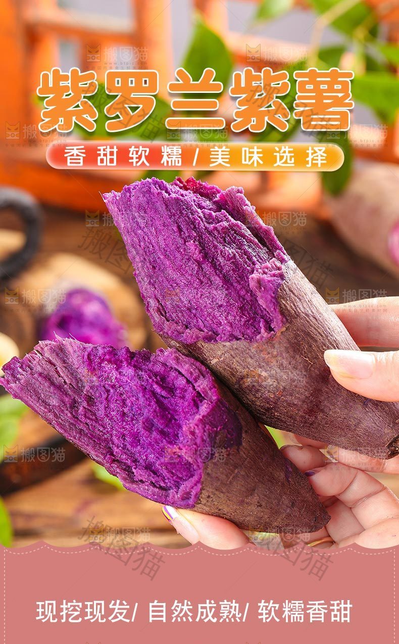 紫罗兰大紫薯详情页