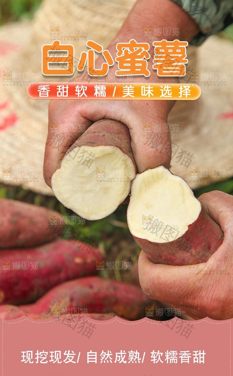 白心红薯详情页