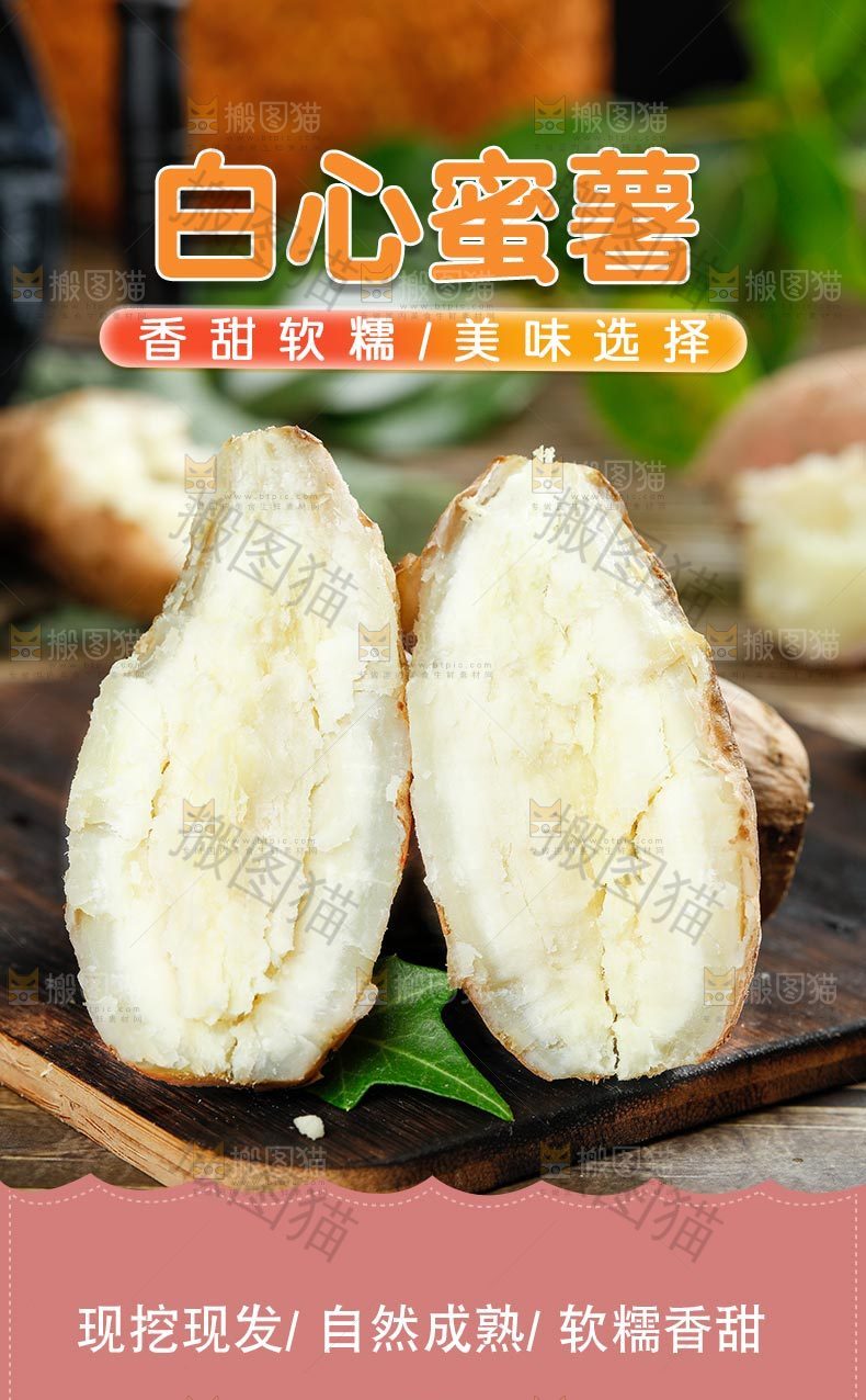 白心板栗红薯详情页