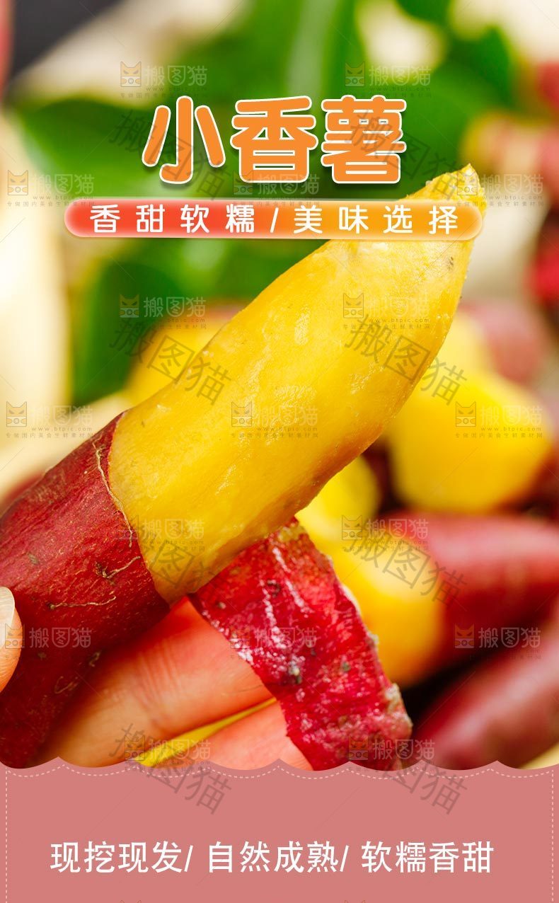 天目山小香薯详情页