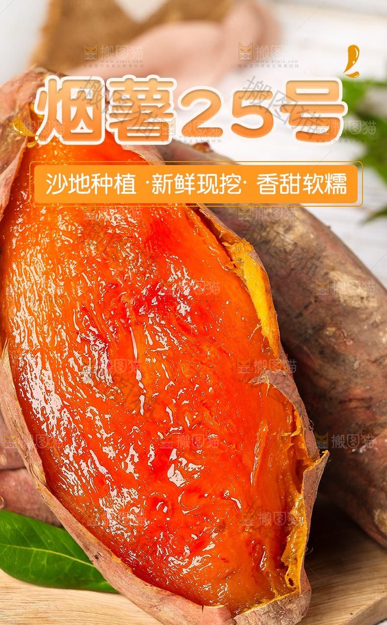 山东烟薯25号详情页