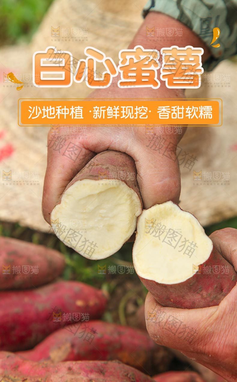 白心红薯详情页