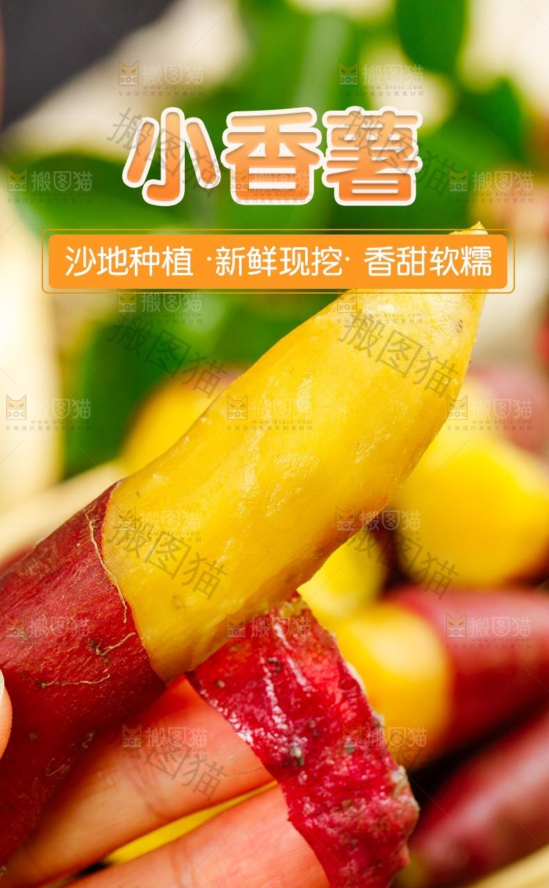 天目山小香薯详情页