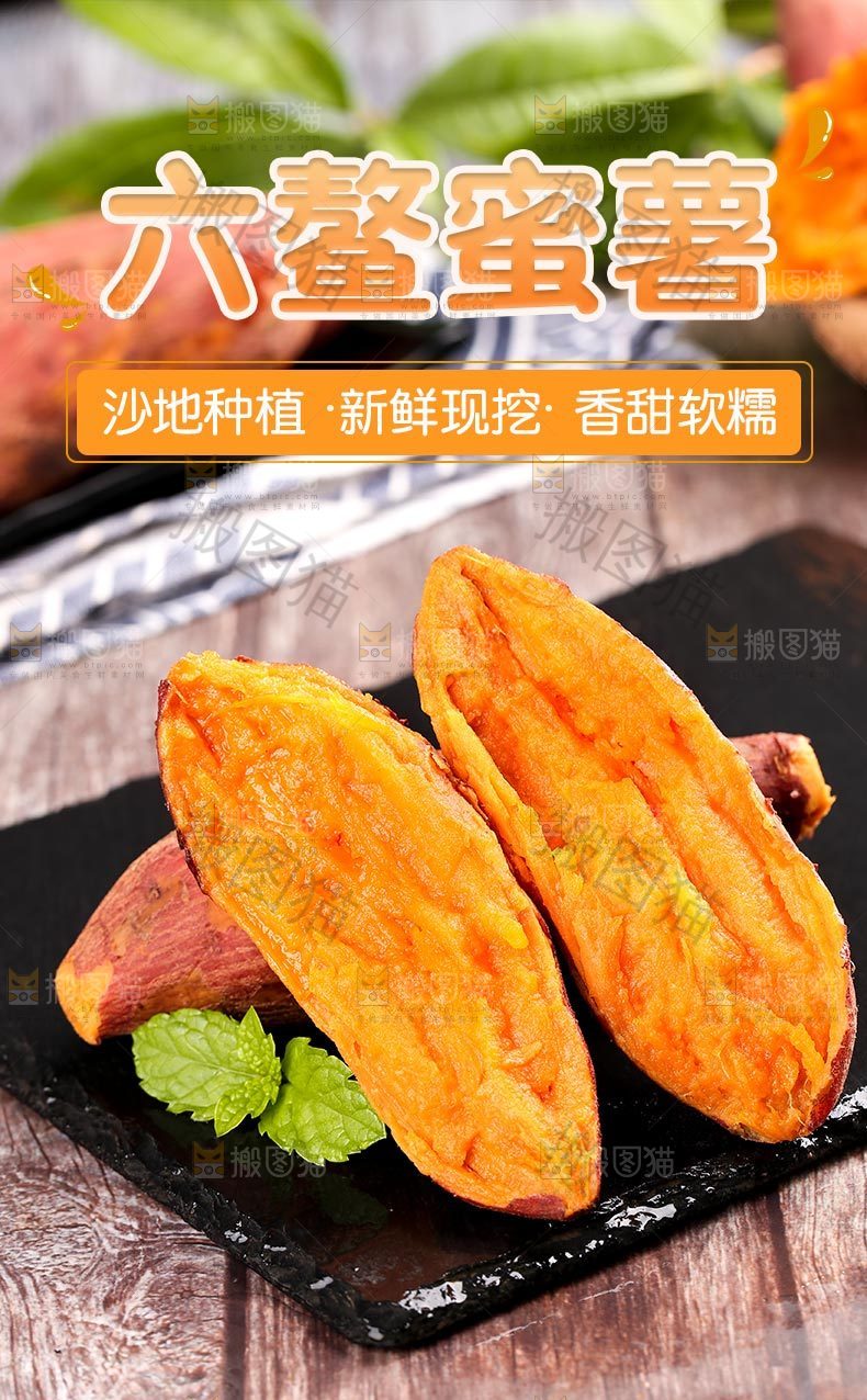 六鳌蜜薯详情