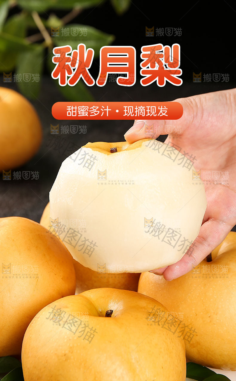 秋月梨详情页