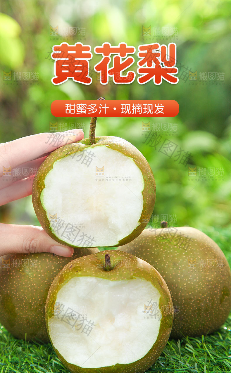 黄花梨详情页