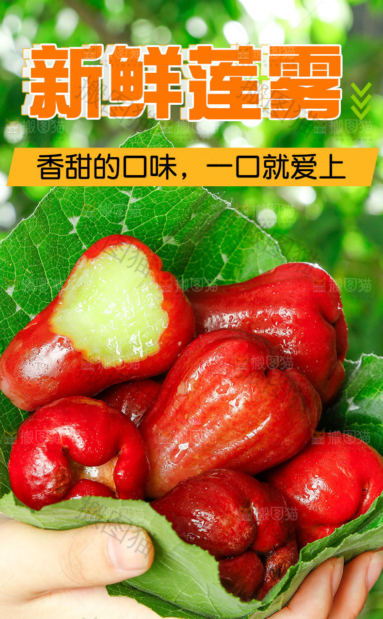 新鲜莲雾详情页