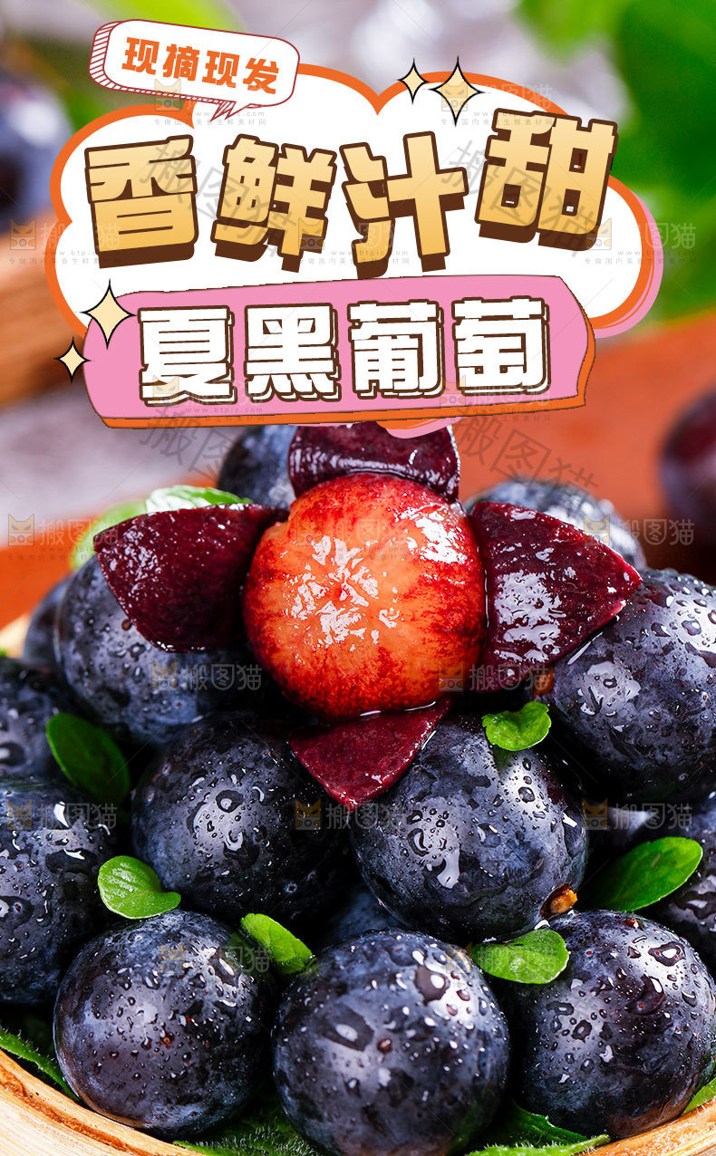 夏黑葡萄详情