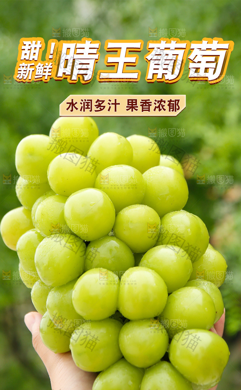 晴王葡萄详情页
