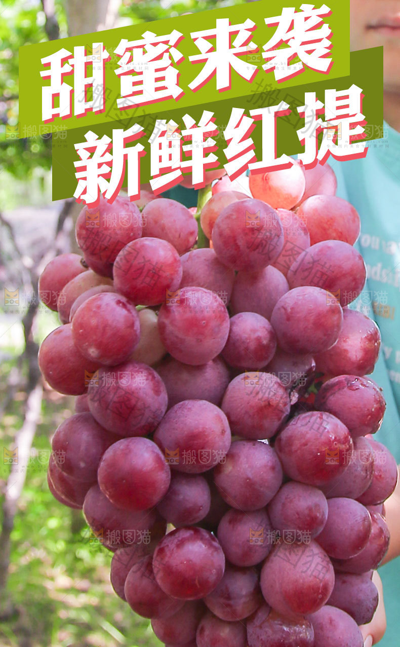 新鲜红提详情页