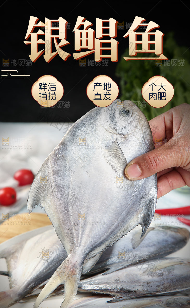 白磷鲳鱼详情页