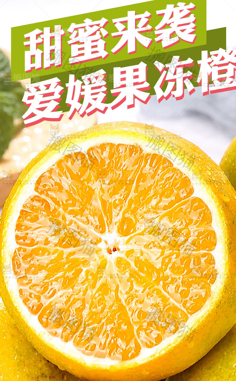 爱媛果冻橙详情