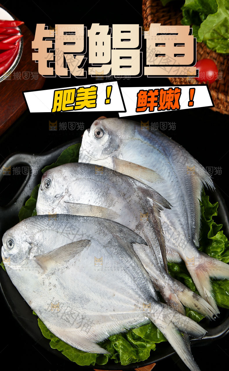 银鲳鱼详情页