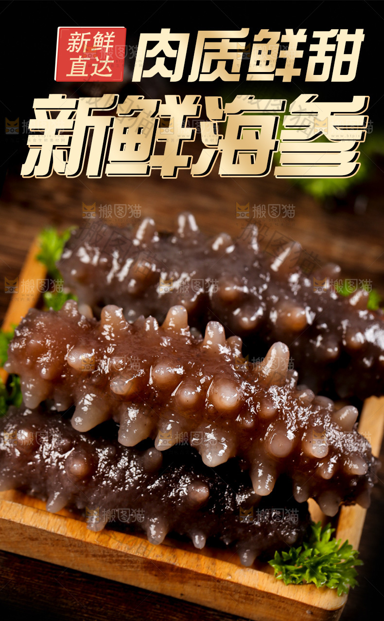 野生海参详情页