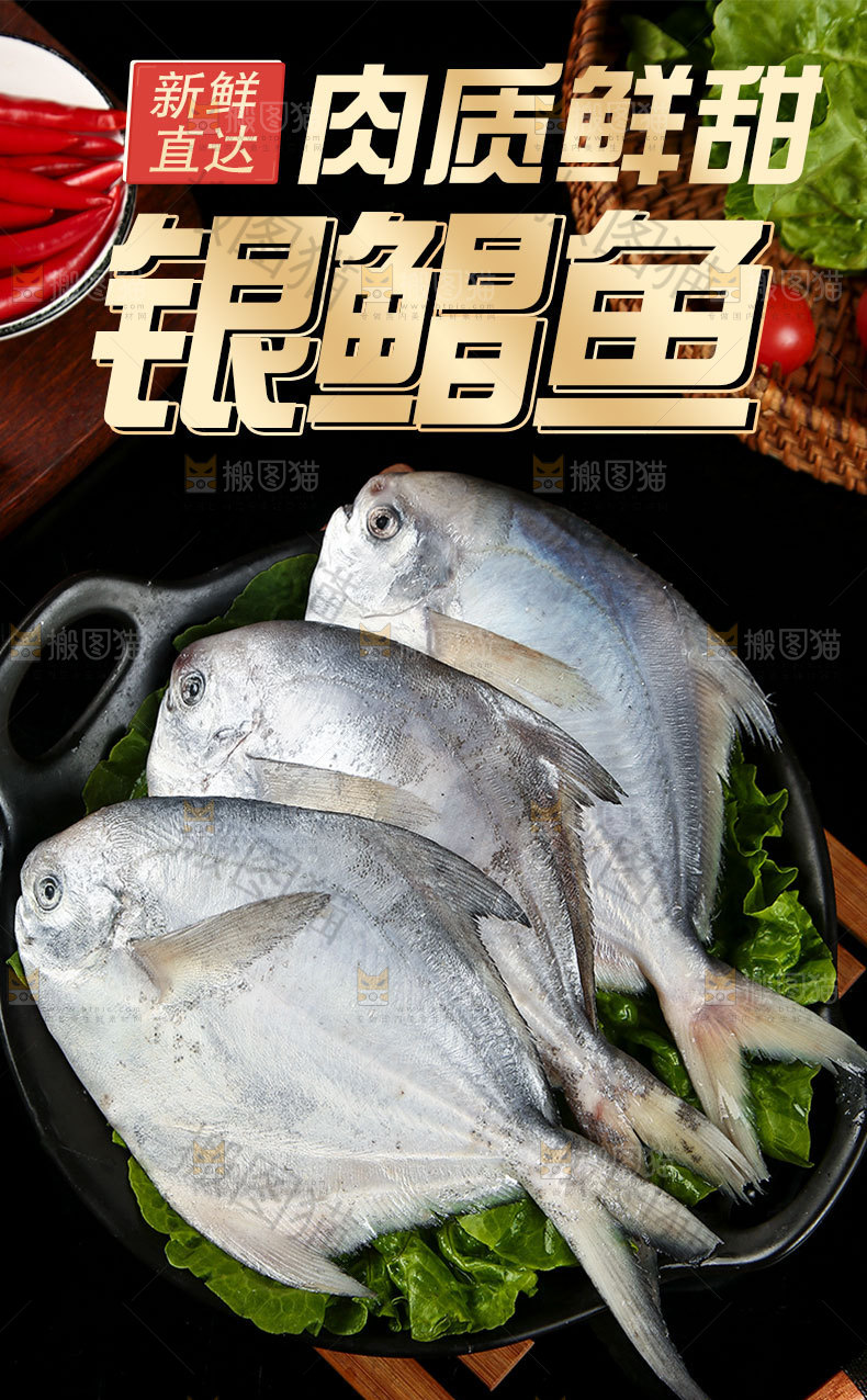 银鲳鱼详情页