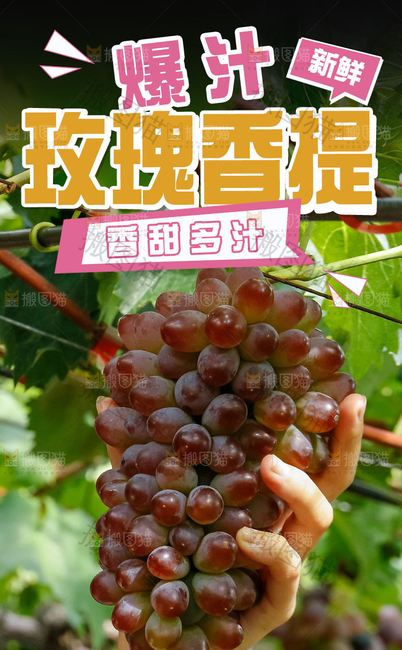 玫瑰香提详情页