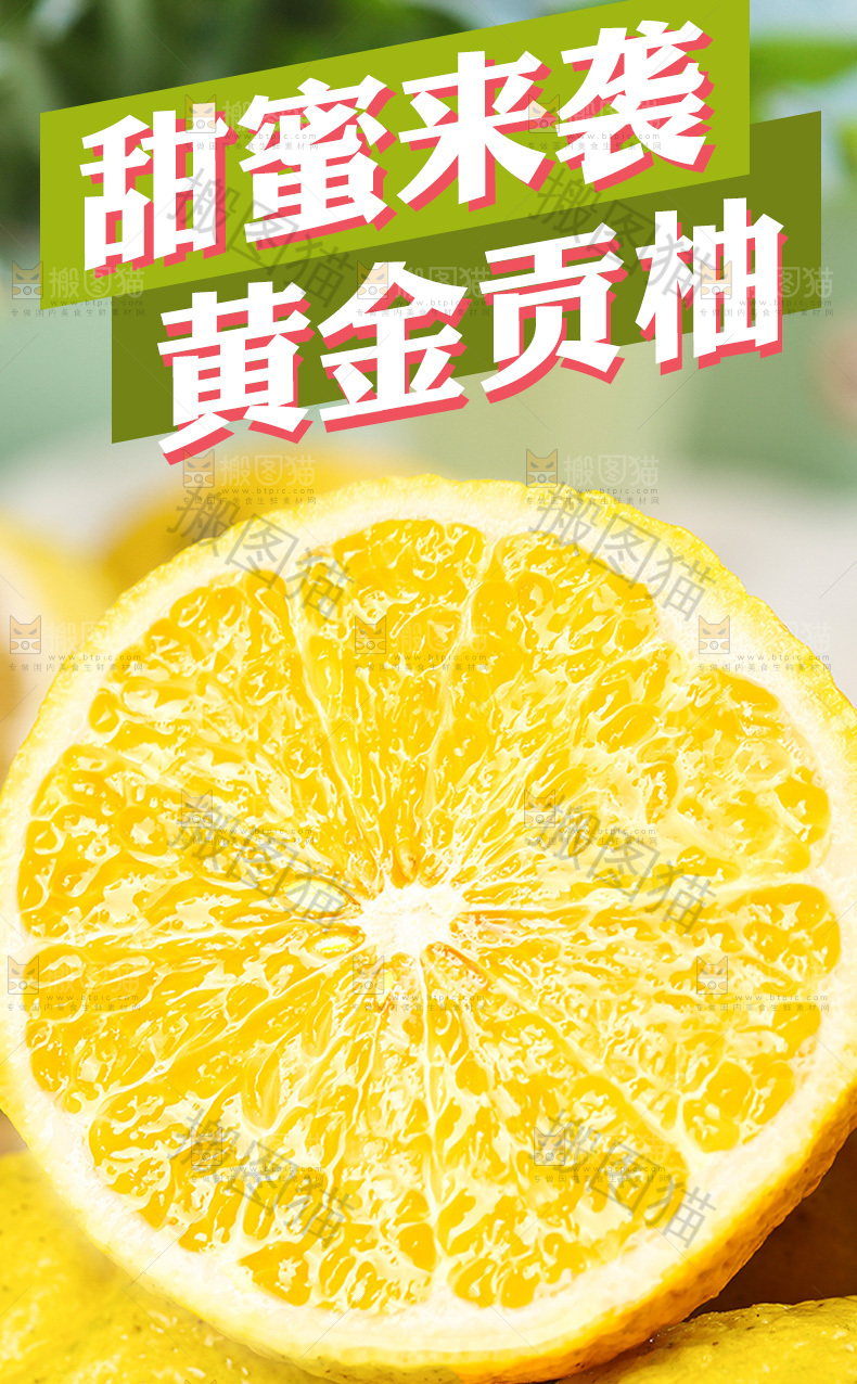 黄金贡柚详情页