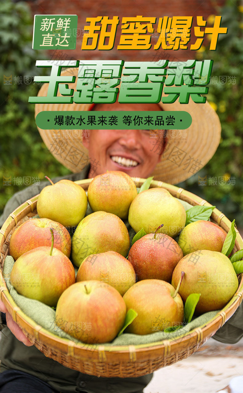 玉露香梨详情页