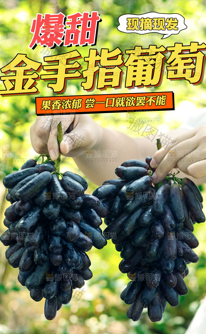蓝宝石葡萄详情页