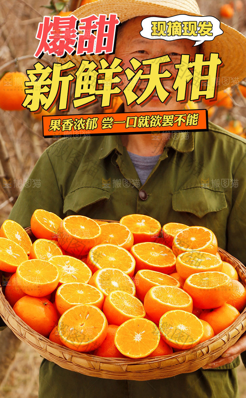 武鸣沃柑详情页