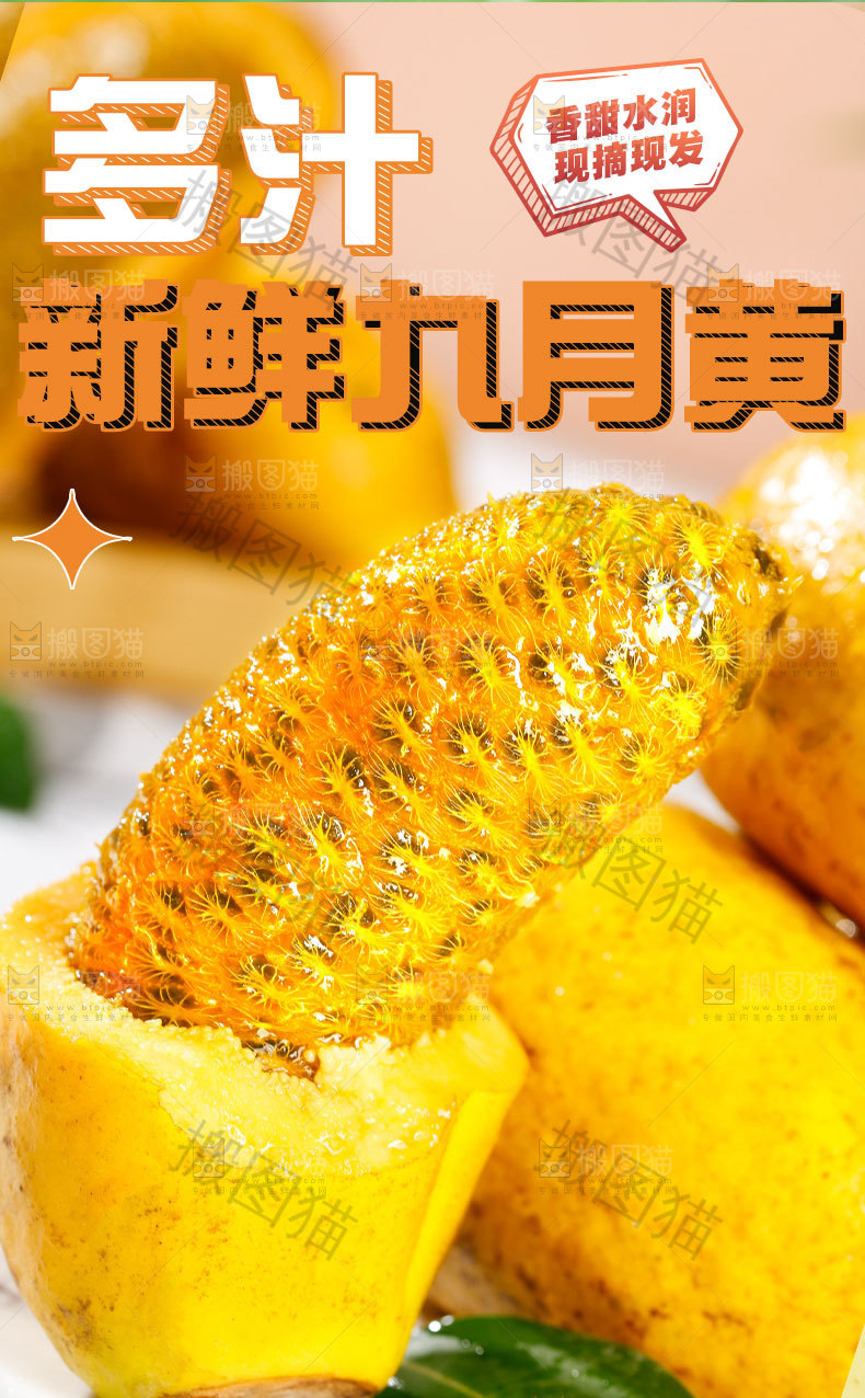 九月黄详情页