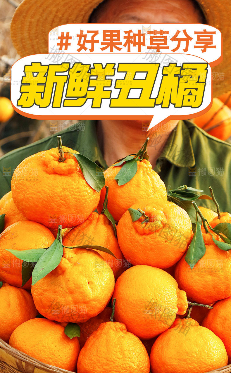 丑橘详情页设计