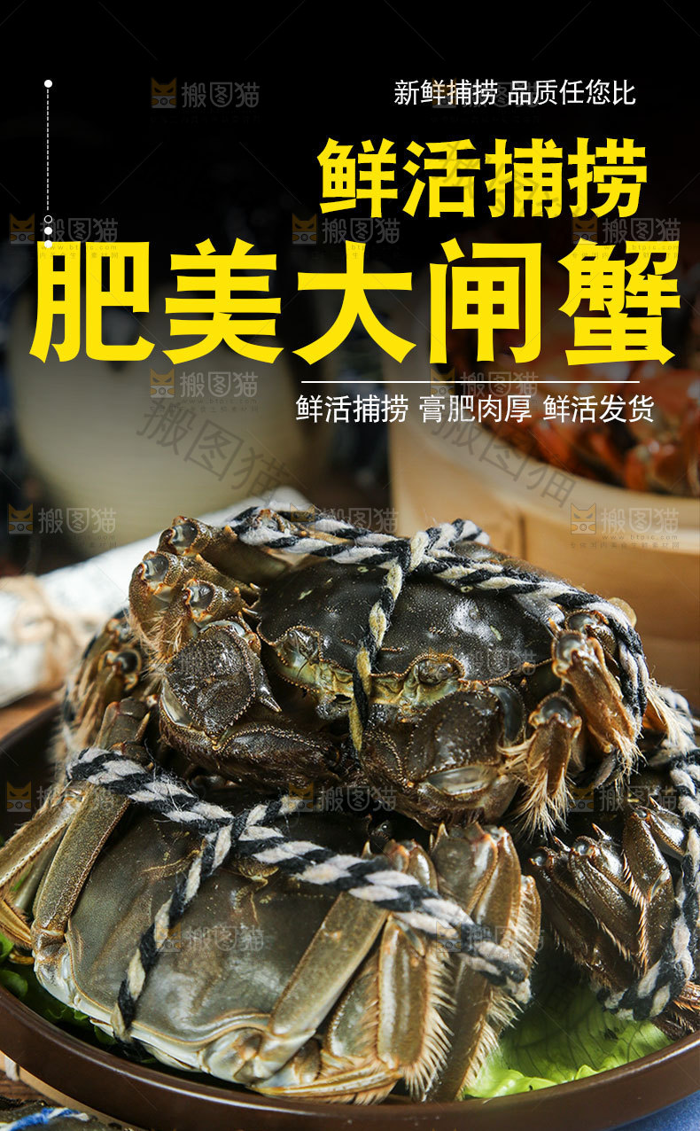 大闸蟹详情页