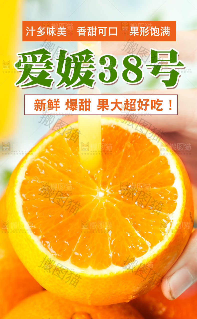 爱媛果冻橙详情