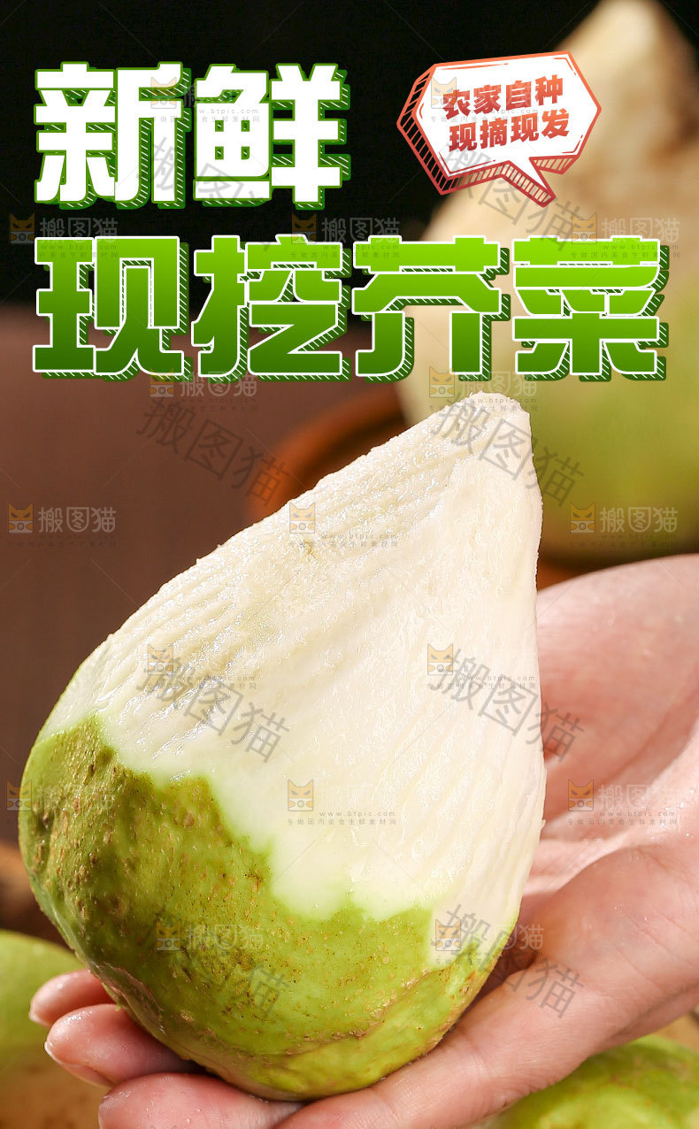 芥菜头详情页