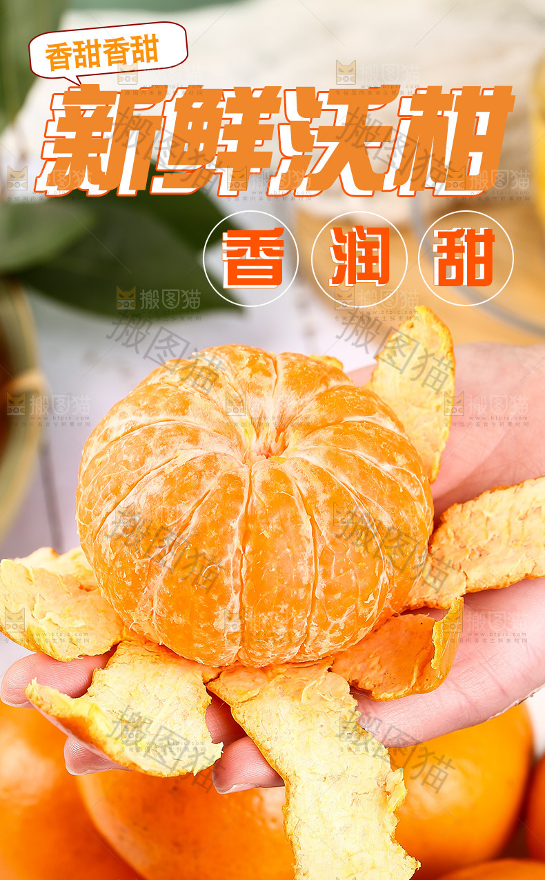 新鲜沃柑详情页