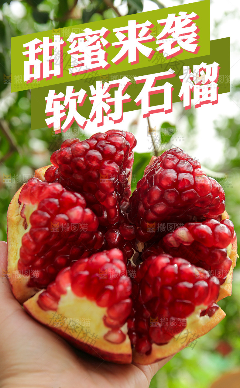 软籽石榴详情页