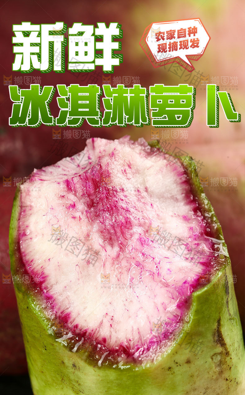 冰淇淋萝卜详情