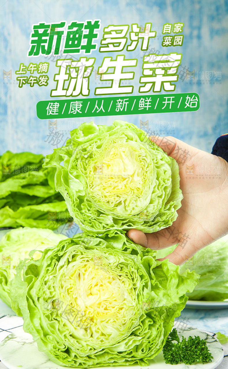 球生菜详情页
