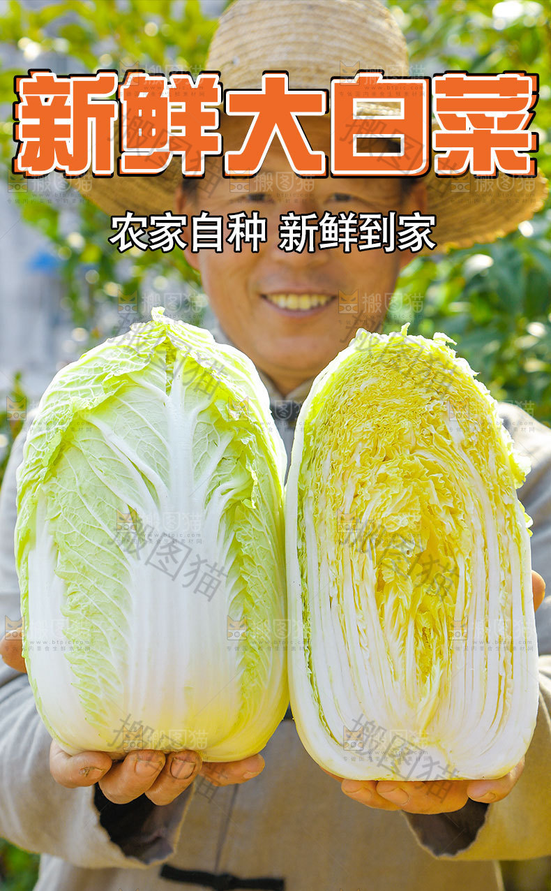 新鲜大白菜详情页
