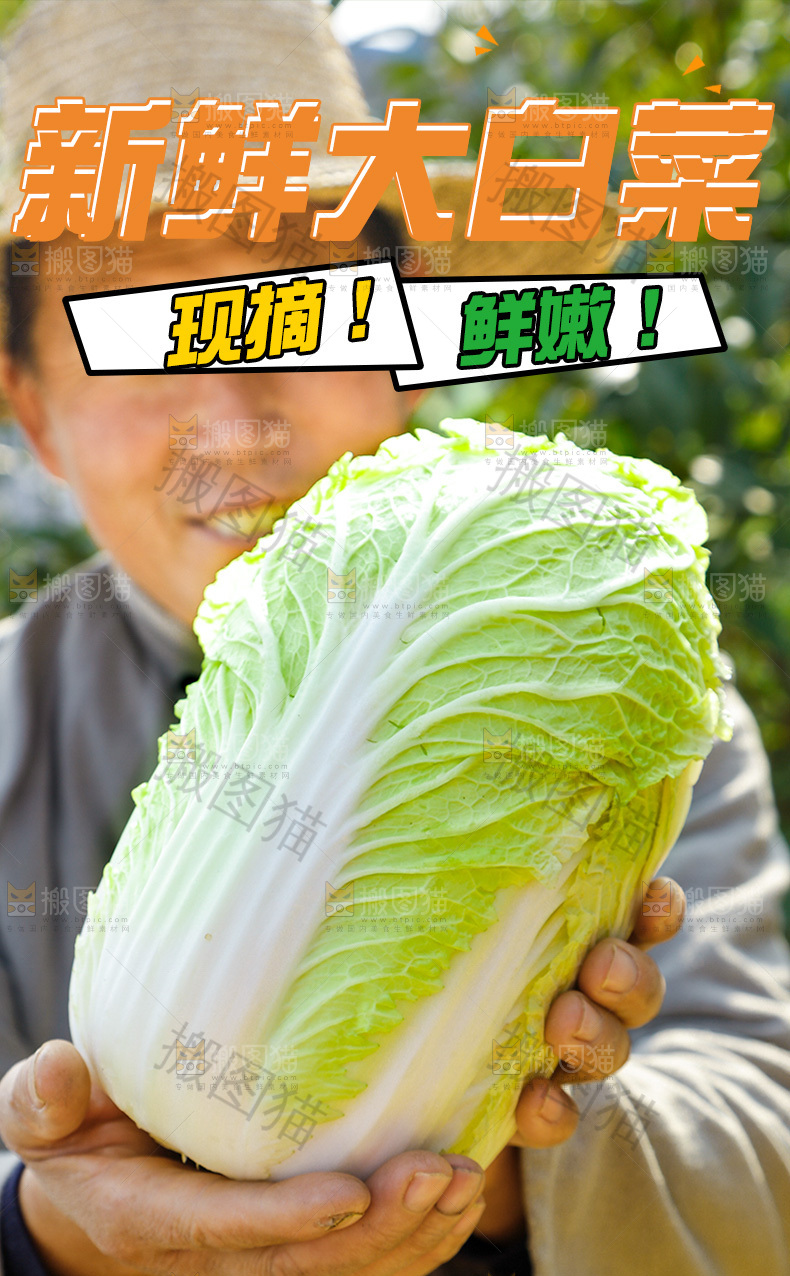 大白菜详情页设计
