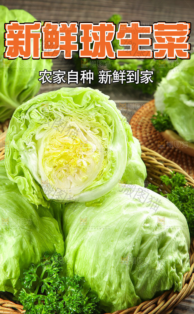 新鲜球生菜详情页