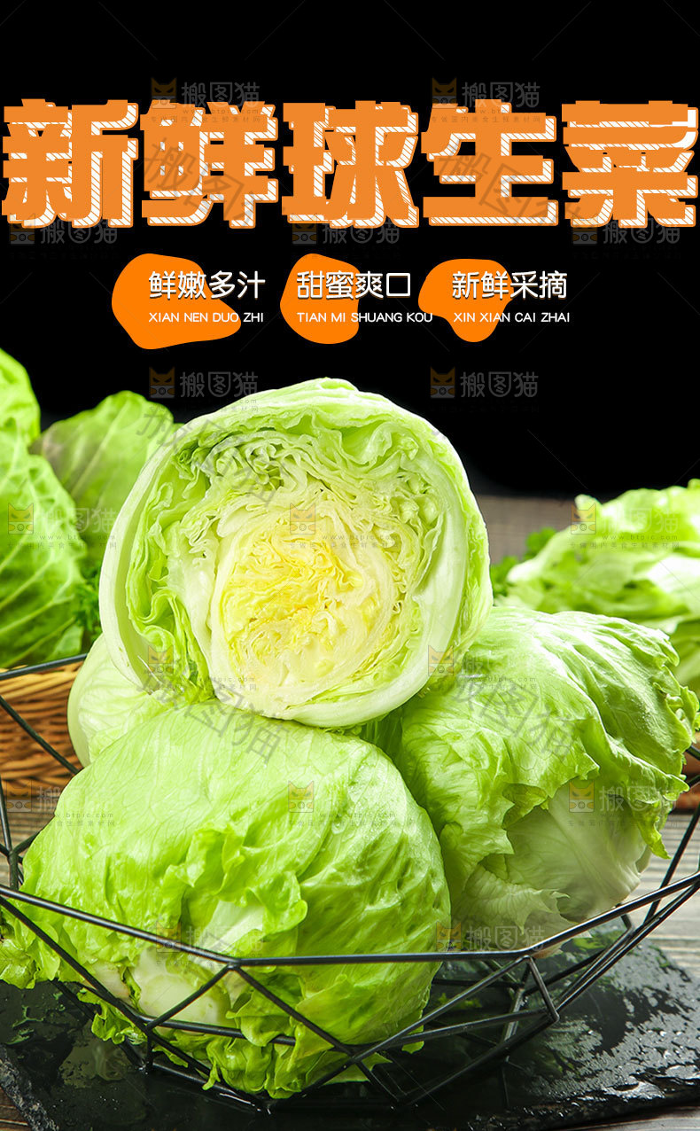球生菜详情页