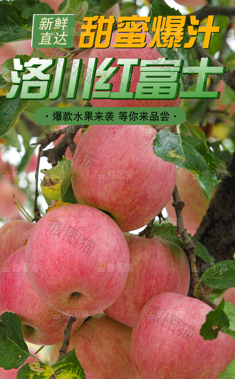 洛川苹果详情页设计